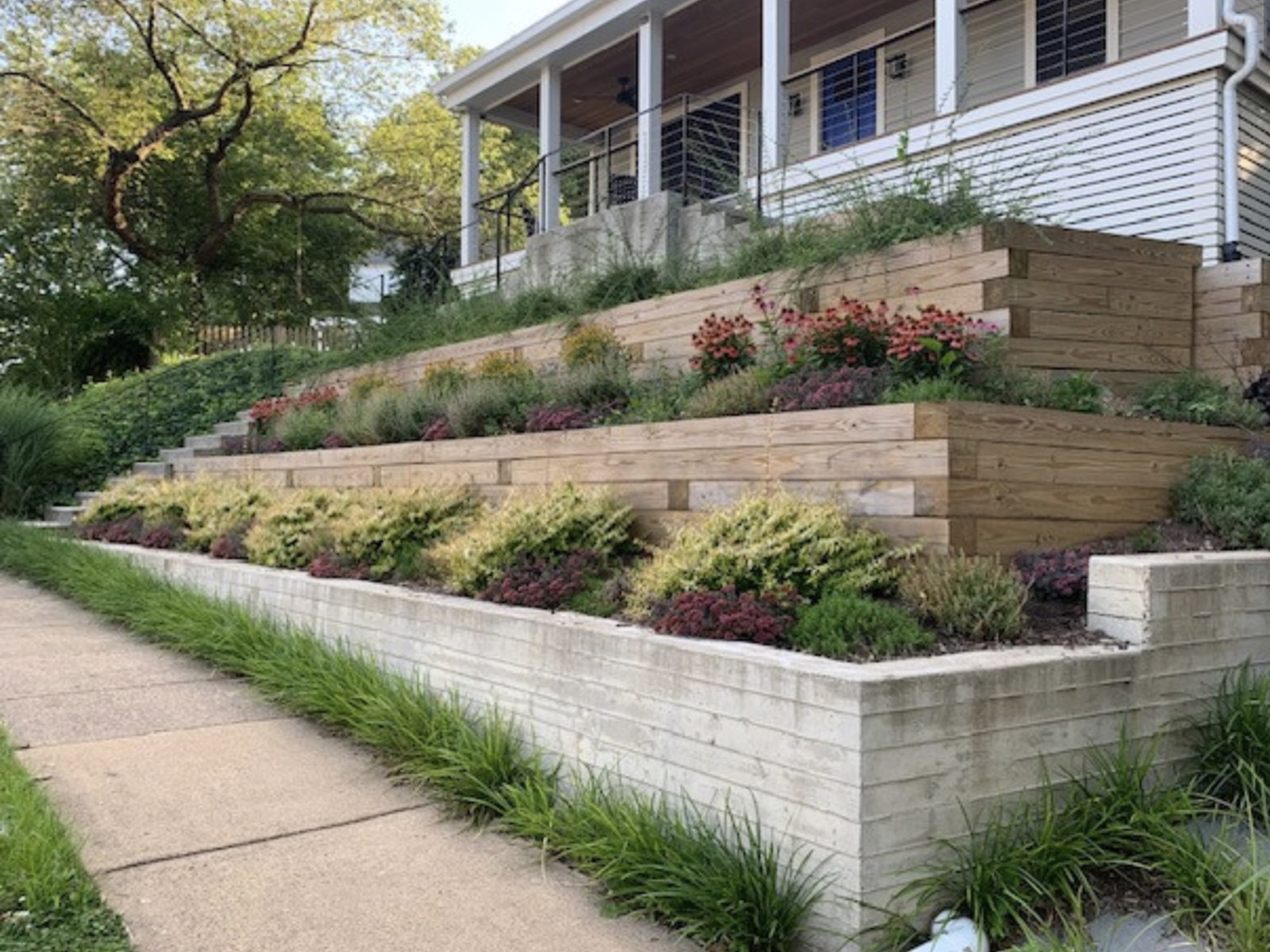 The board-formed retaining wall and terraced planting that replaced the unretained slope